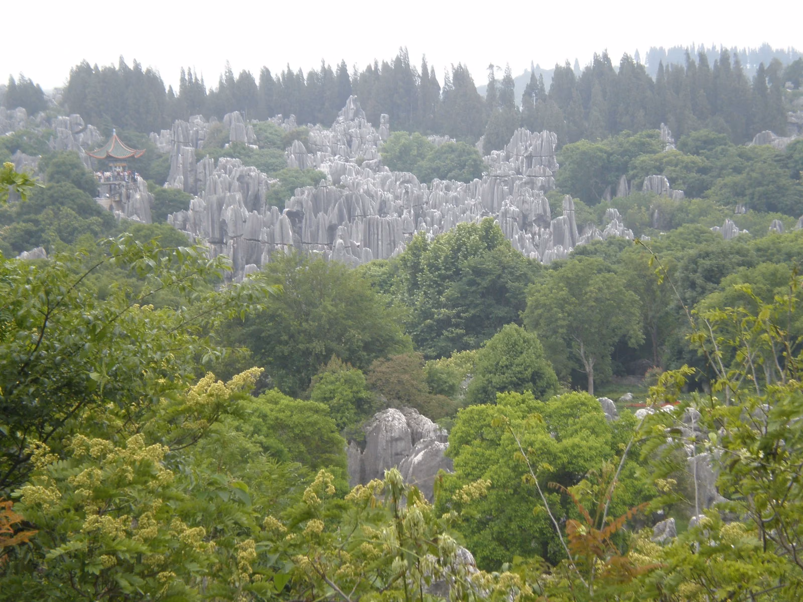 Grey limestone pillars above green trees in the Big Stone Forest