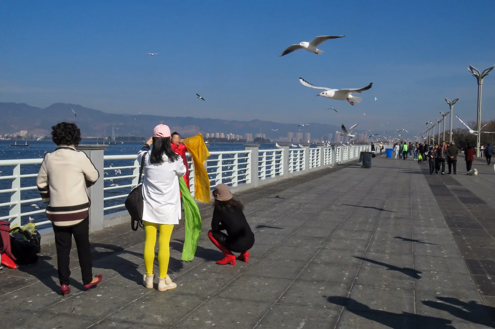 Visitors and flying gulls on the broad promenade of Haigeng Dam beside Dianchi Lake