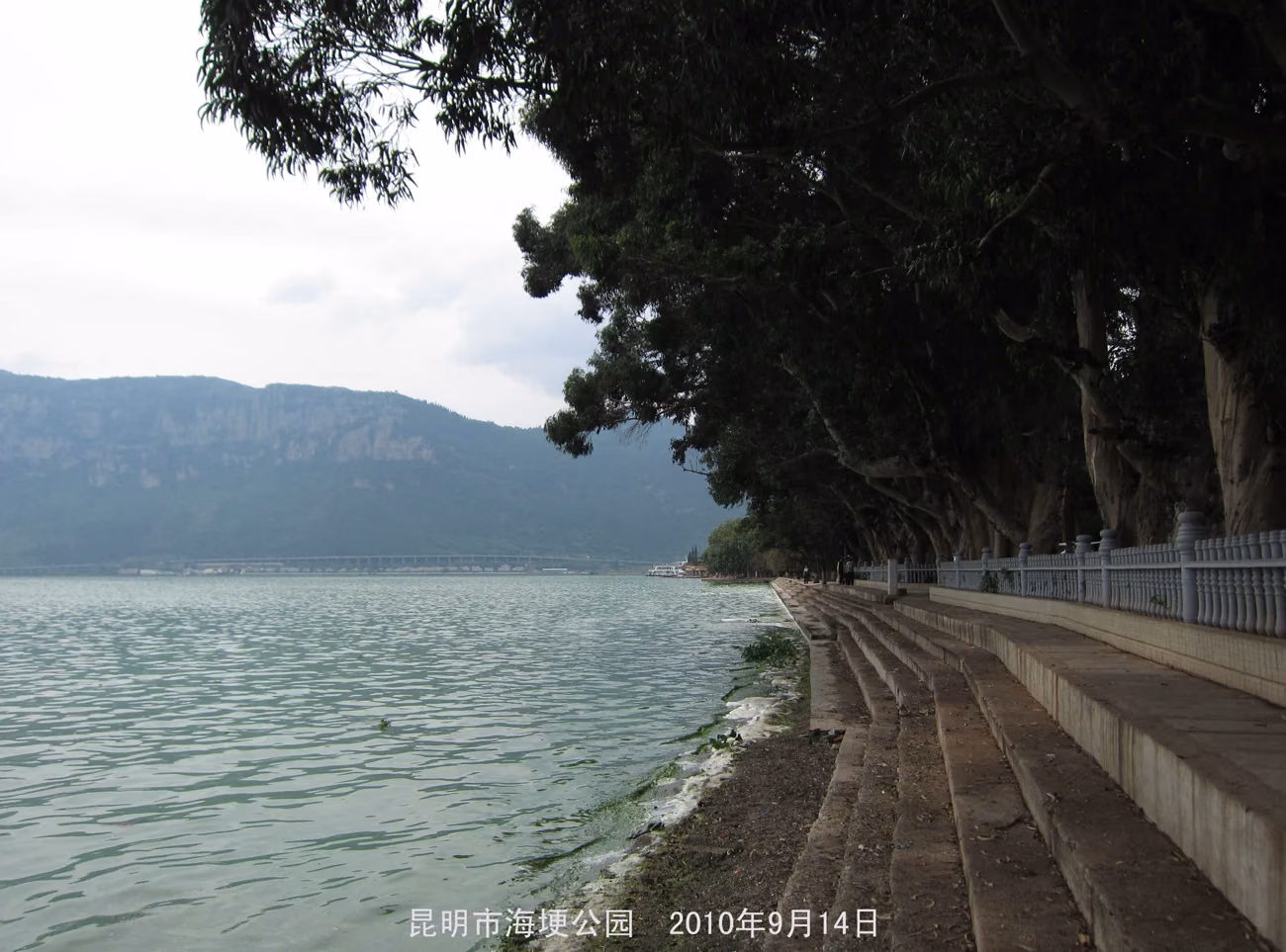 Tree-shaded steps along Dianchi Lake in Haigeng Park